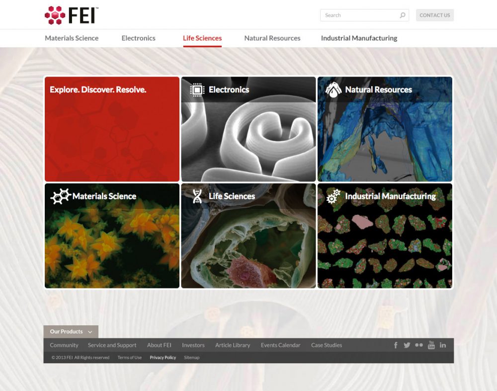 Portfolio work sample or design project image