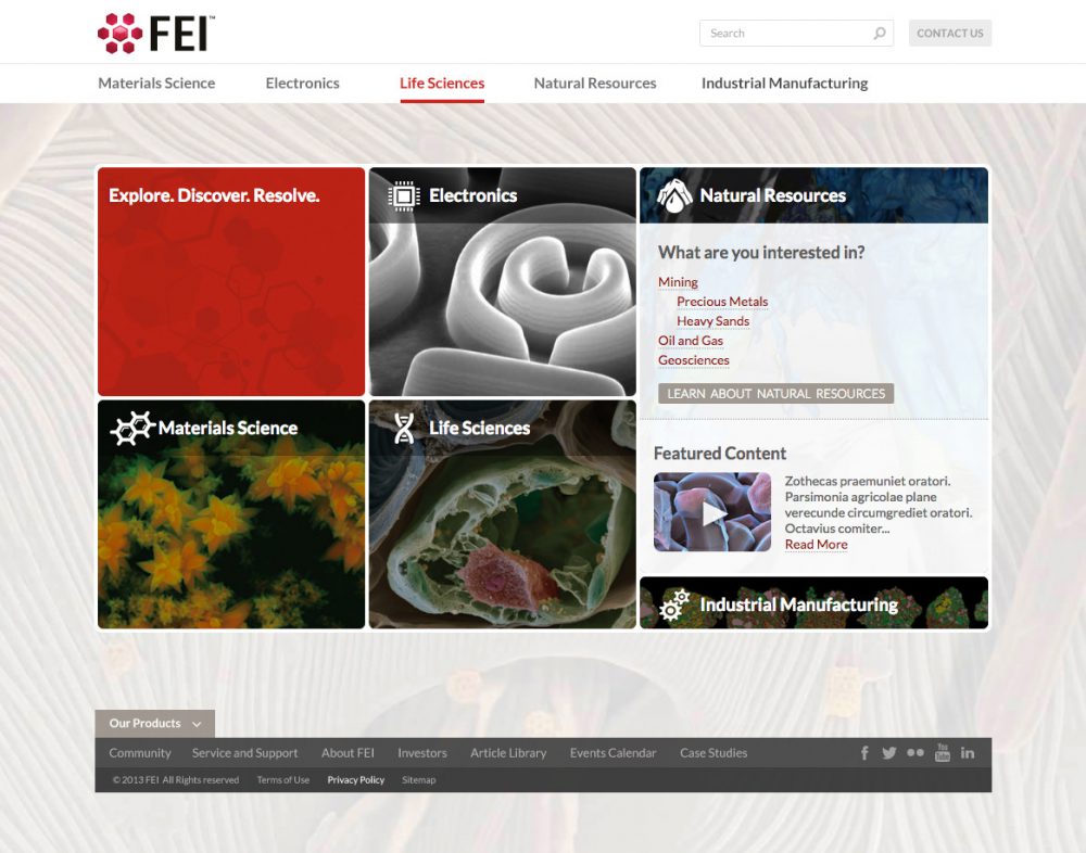 Portfolio work sample or design project image