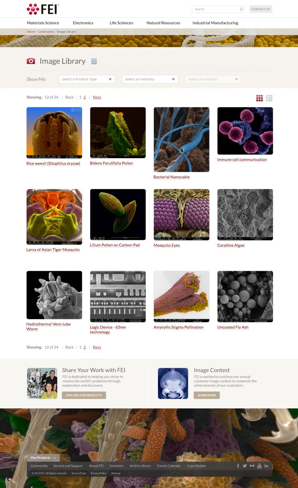 Portfolio work sample or design project image