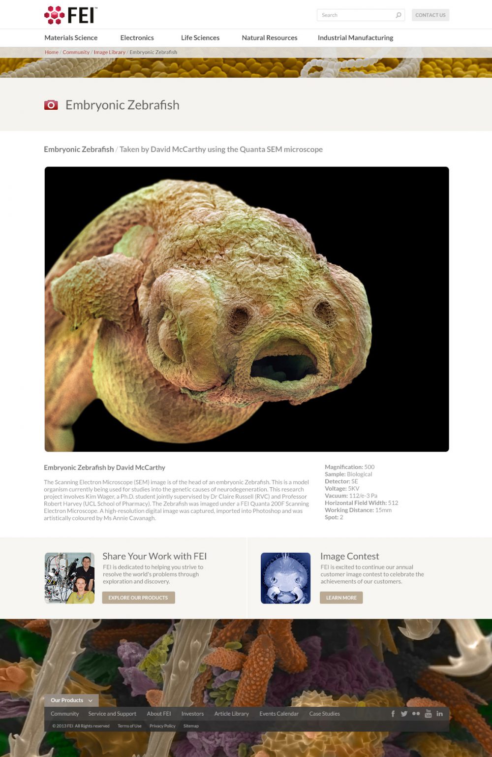 Portfolio work sample or design project image