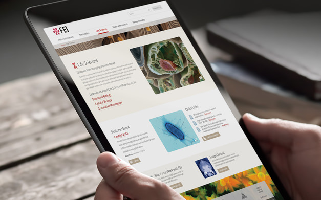 Portfolio project thumbnail image